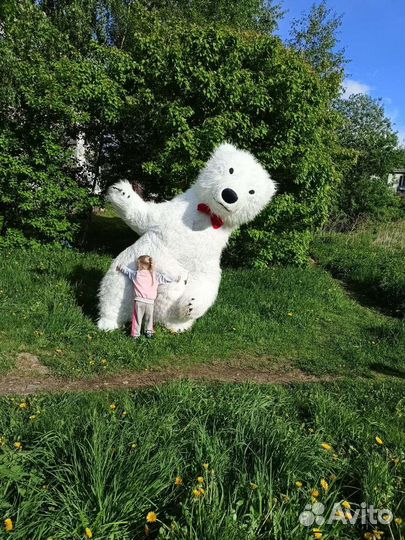 Праздники мероприятия белого медведя