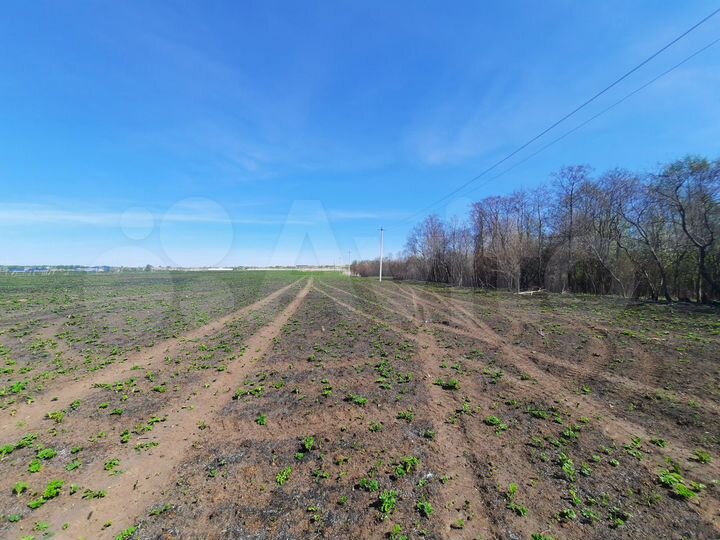 Участок 5,18 га (СНТ, ДНП)