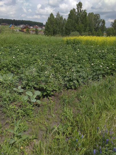 Участок 20,4 сот. (ИЖС)