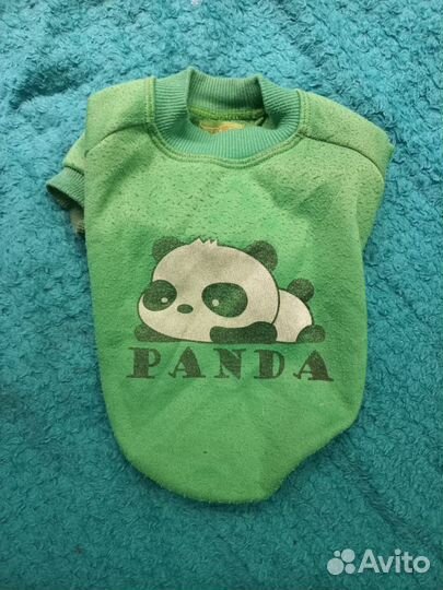 Одежда для питомцев