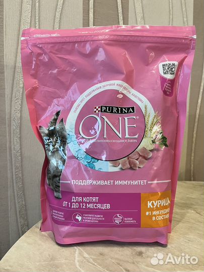 Корм для котят