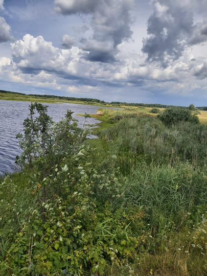 Участок 100 сот. (СНТ, ДНП)