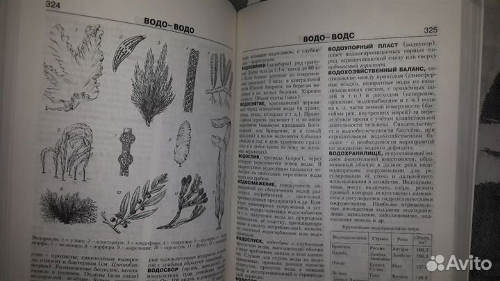 Новая энциклопедия