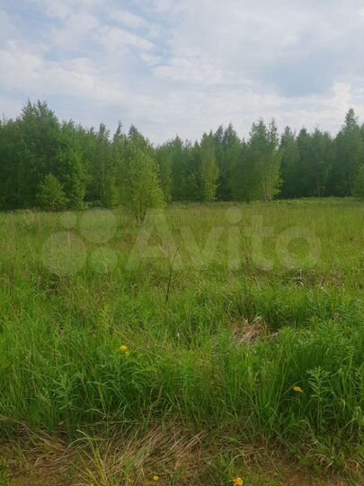 Участок 20 сот. (СНТ, ДНП)
