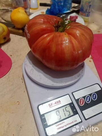 Семена томатов коллекционные