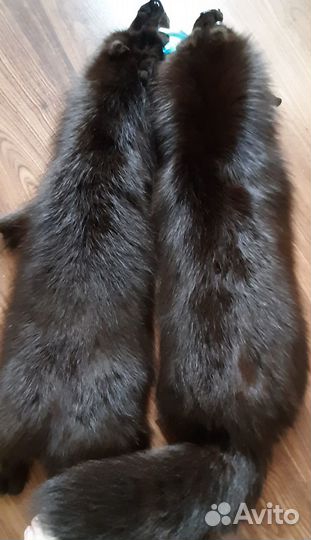 Шкурки песца