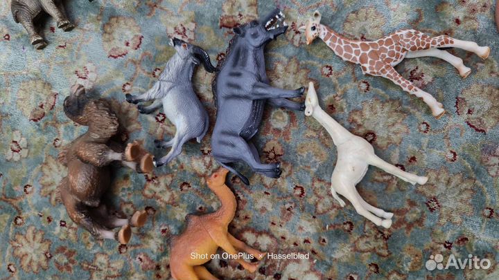 Животные игрушки, птицы,рыбы