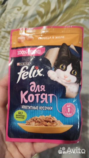 Кошачий корм