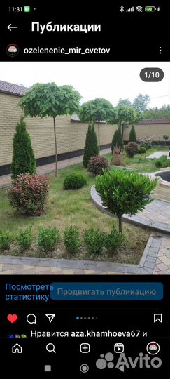 Ландшафтные работы, озеленение