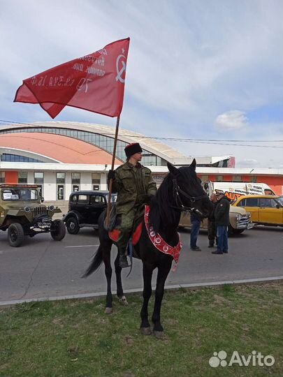 Конные прогулки по Торгашинскому хребту