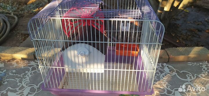 Клетка для грызунов