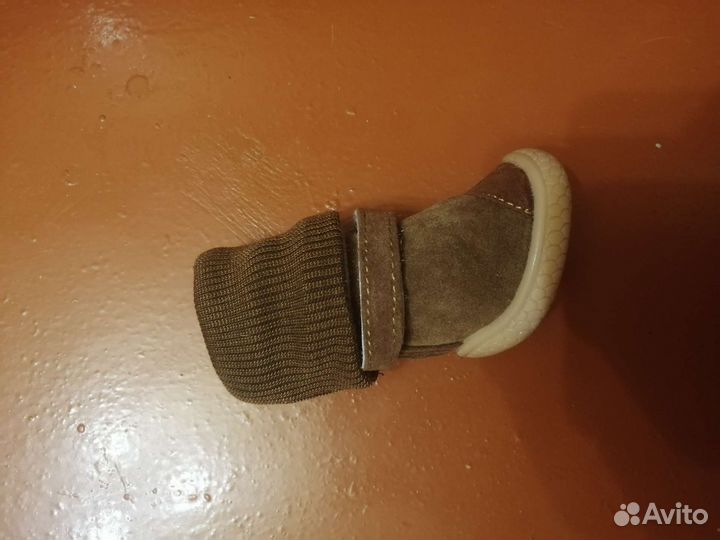 Зимняя обувь для собак