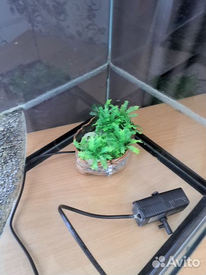 Аквариум для черепах