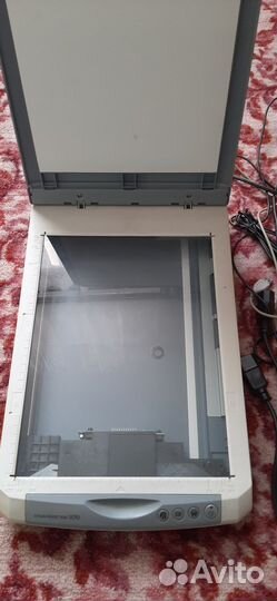 Сканер epson perfection