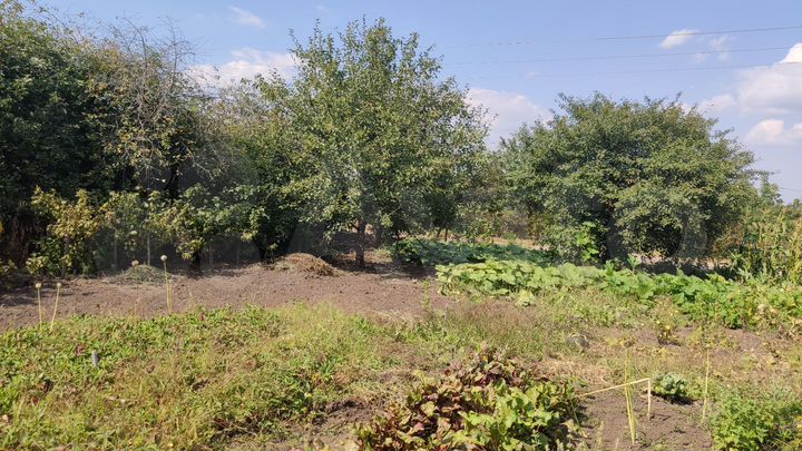 Дача 10 м² на участке 5 сот.