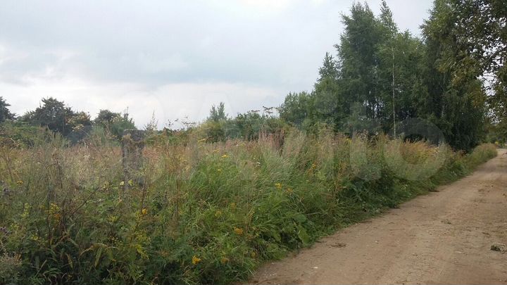 Участок 10 сот. (СНТ, ДНП)
