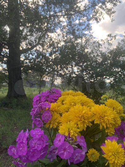 Участок 9 сот. (СНТ, ДНП)