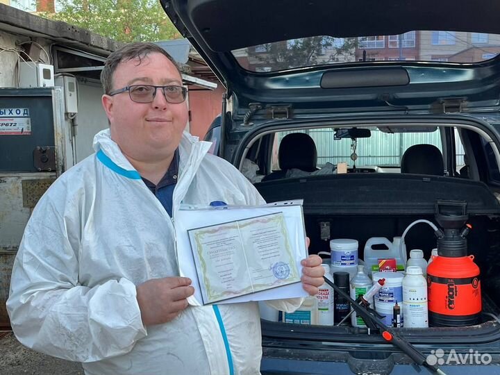 Обработка участков от клещей комаров мух муравьев