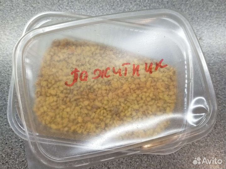 Пажитник семена шамбала