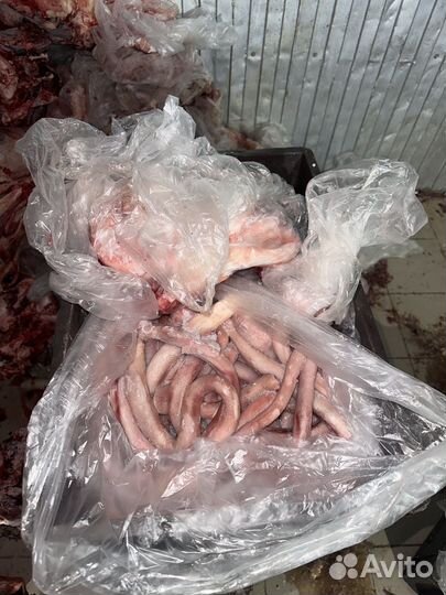 Бычьи корни чищенные