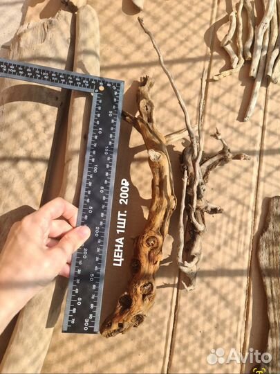 Коряги дрифтвуд