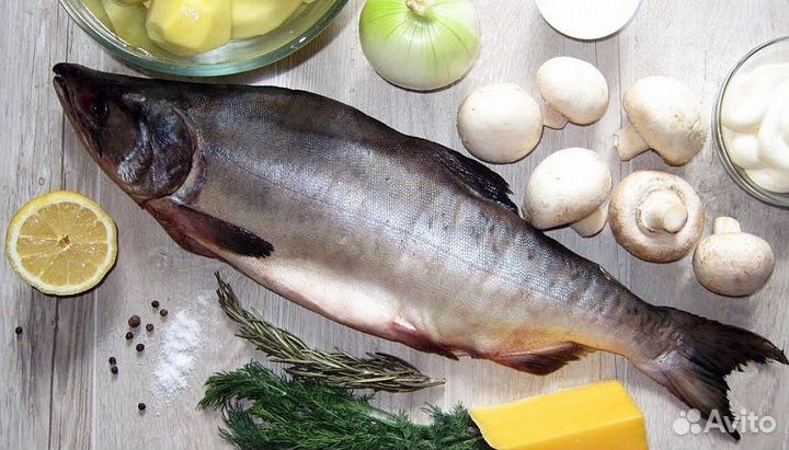 Горбуша неразделённая