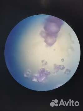 Репетитор по химии и по математике