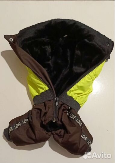 Одежда для маленьких пород собак