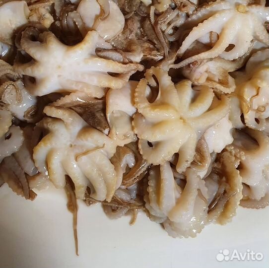 Осьминожки молодые очищенные 1кг