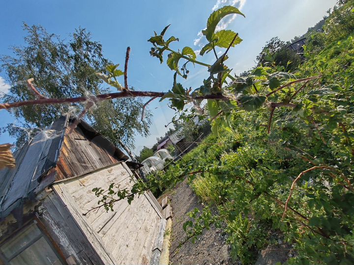 Дача 11 м² на участке 5,6 сот.