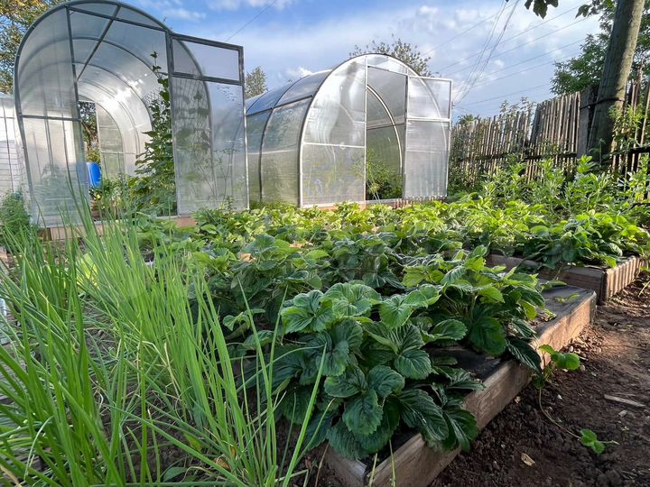 Дача 10 м² на участке 2,5 сот.