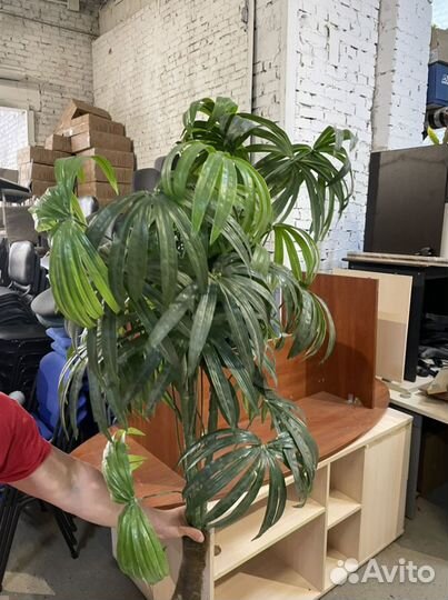 Искусственная пальма