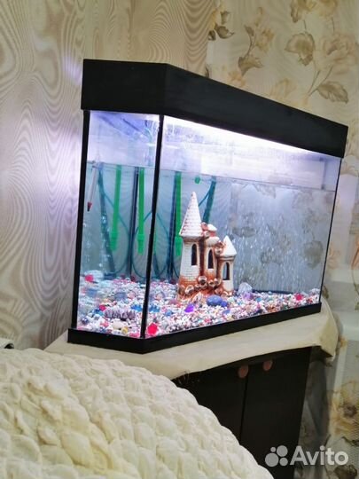 Аквариум