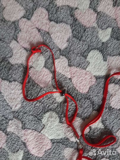 Поводок для хорька