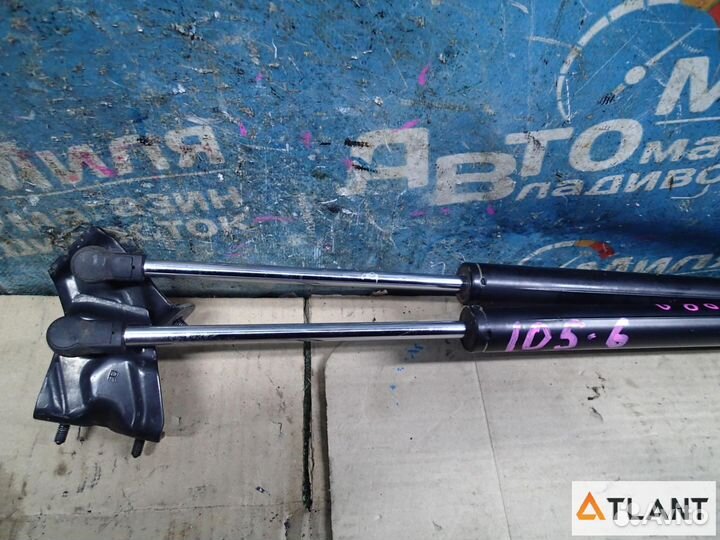 Амортизатор задней двери honda elysion