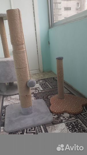 Когтеточка