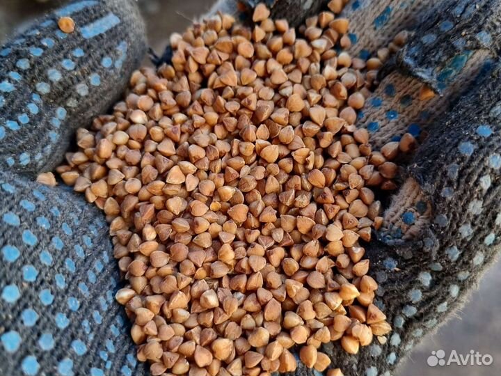Крупа гречневая, гречневый продел во Владимире