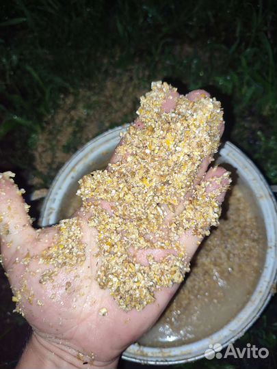 Комбикорм для всех (пшеницы+кукурузы+ячменя+горох)