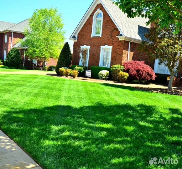 Рулонный газон под ключ производитель