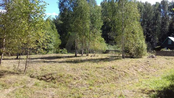 Участок 12 сот. (СНТ, ДНП)