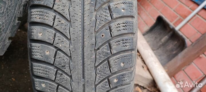 Gislaved Nord Frost 5 195/65 R15