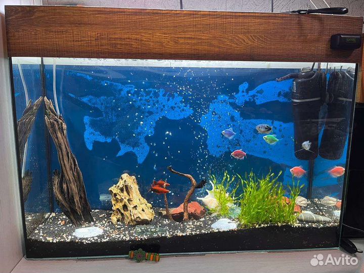 Аквариум с рыбками