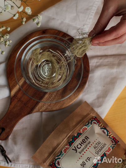 Уснея бородатая