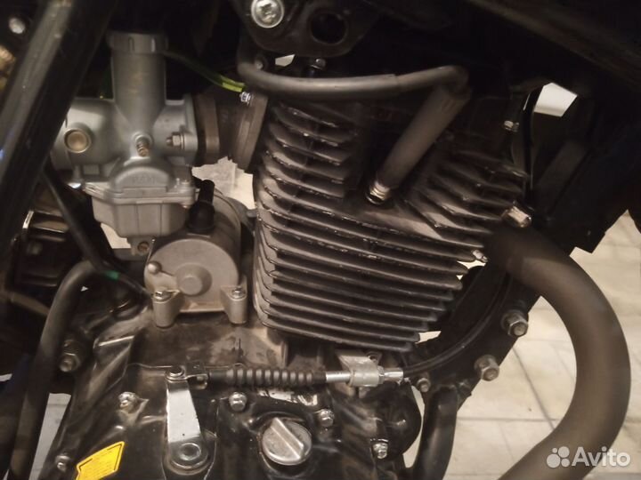 Stels fleks 250