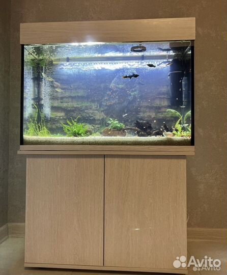 Аквариум