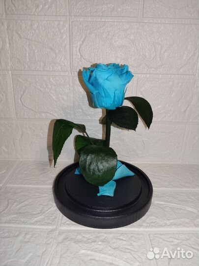 Роза в колбе отличный вариант подарка