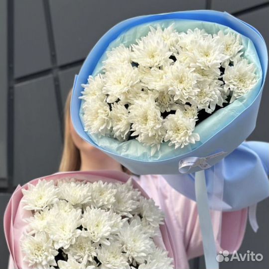 Цветы хризантемы букет