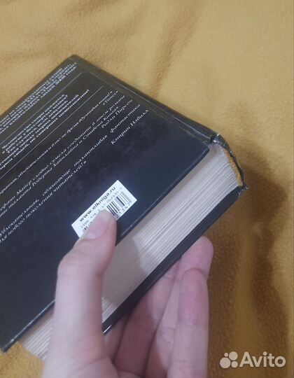 Гостья Стефани Майер