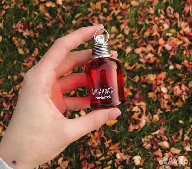 Масляные духи на розлив Amor Amor