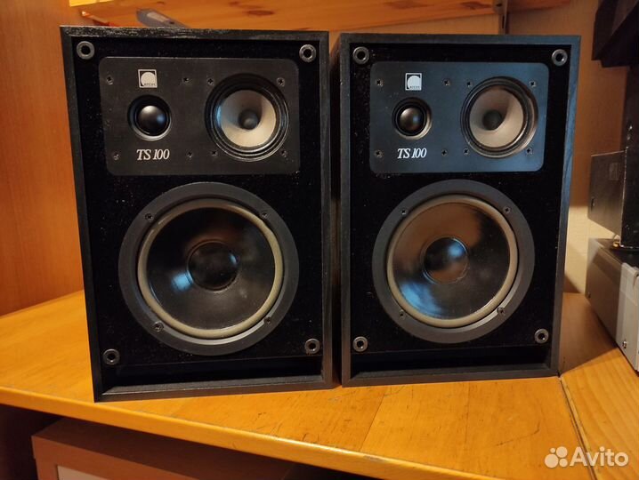 Arcus TS 100 акустика
